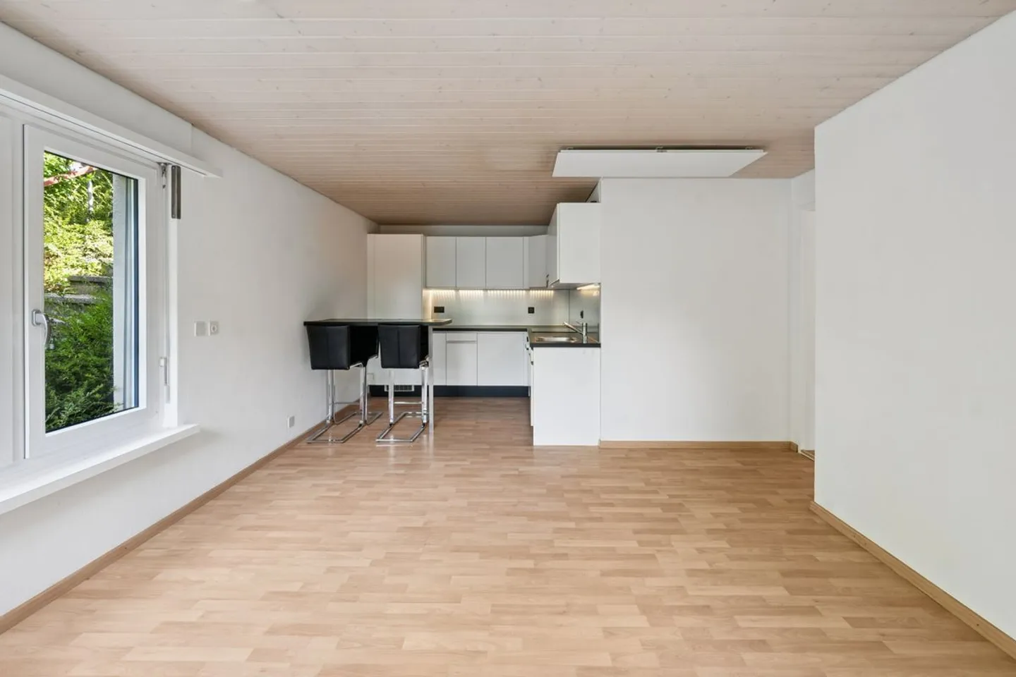 Single-family home with a separate apartment - Photo 9 of 13