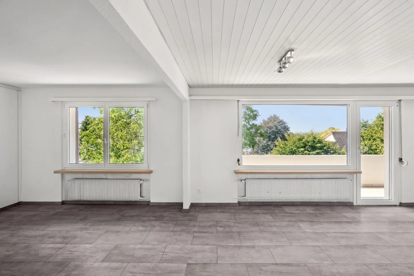 Single-family home with a separate apartment - Photo 7 of 13