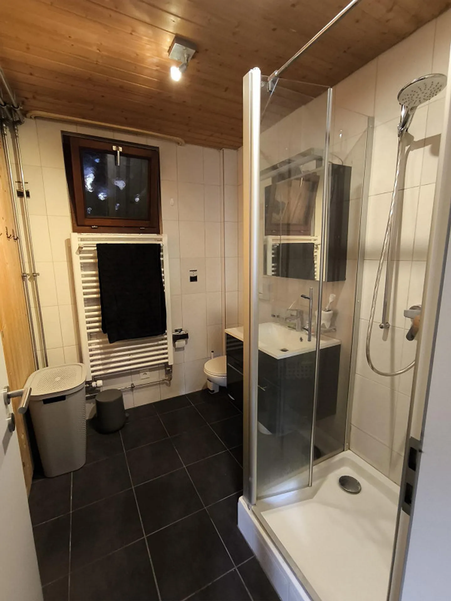 4 ½ Room Chalet - Ruschein - Photo 10 of 21