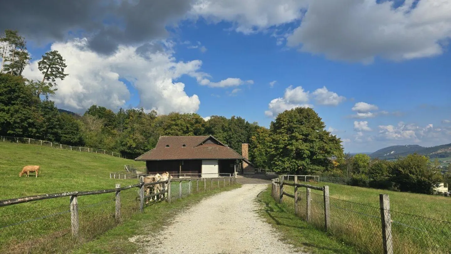 Terreno edificabile da sogno a Hägendorf ai piedi del Giura - Foto 7 di 11