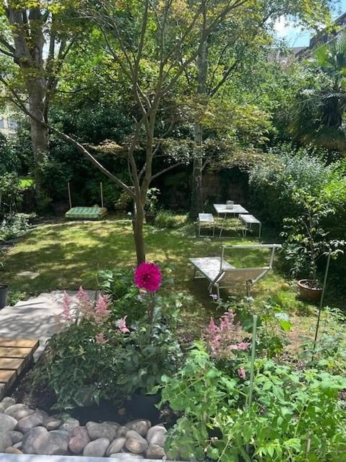 Appartamento di 3,5 stanze con area giardino in affitto - Foto 2 di 10