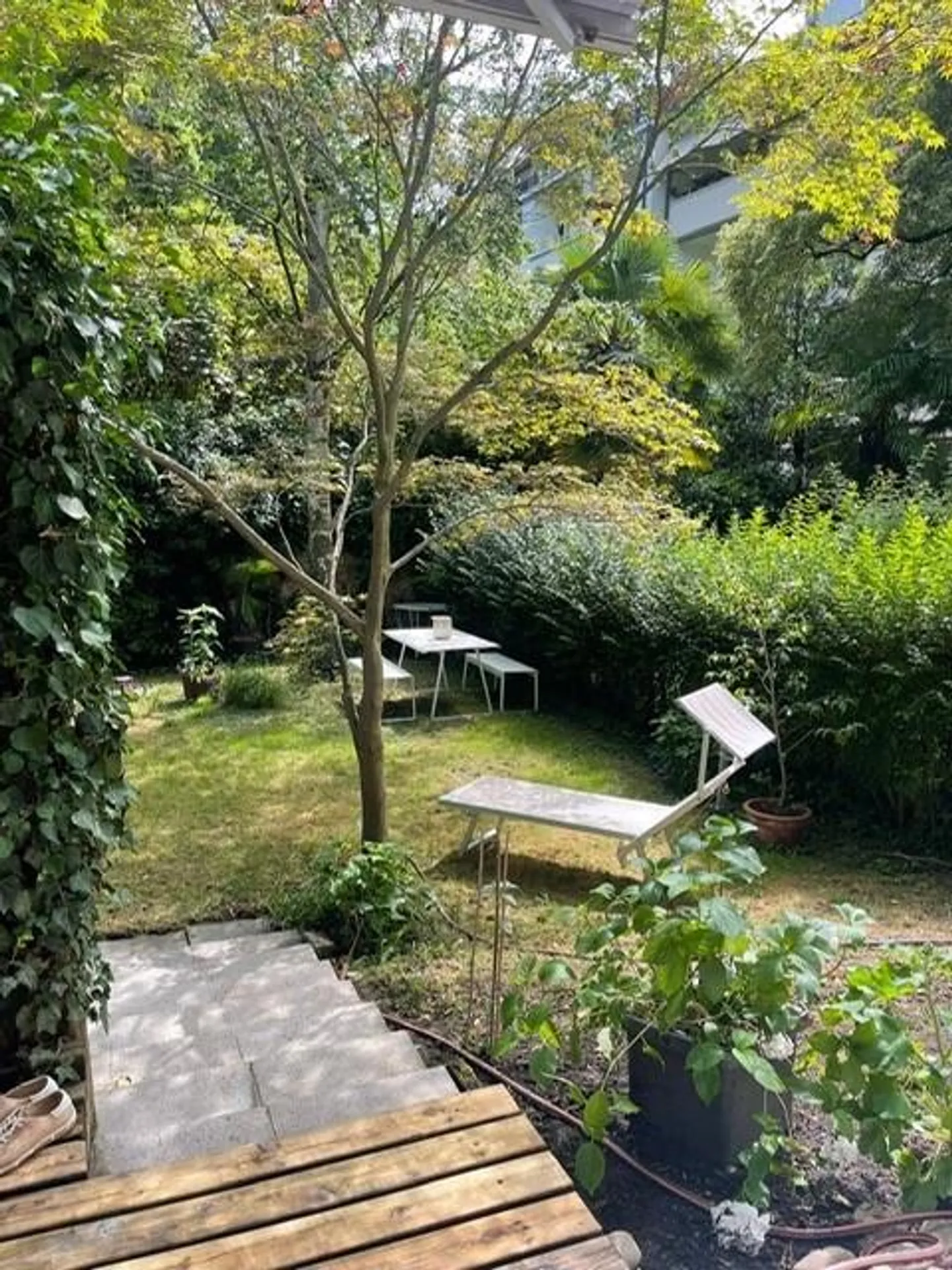 Appartamento di 3,5 stanze con area giardino in affitto - Foto 3 di 10