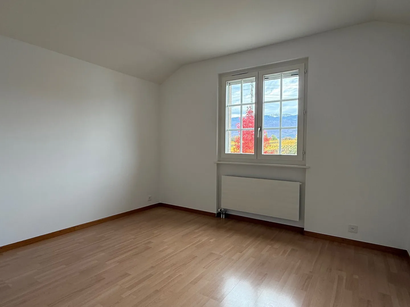 4.5 Room Apartment - Photo 6 of 9