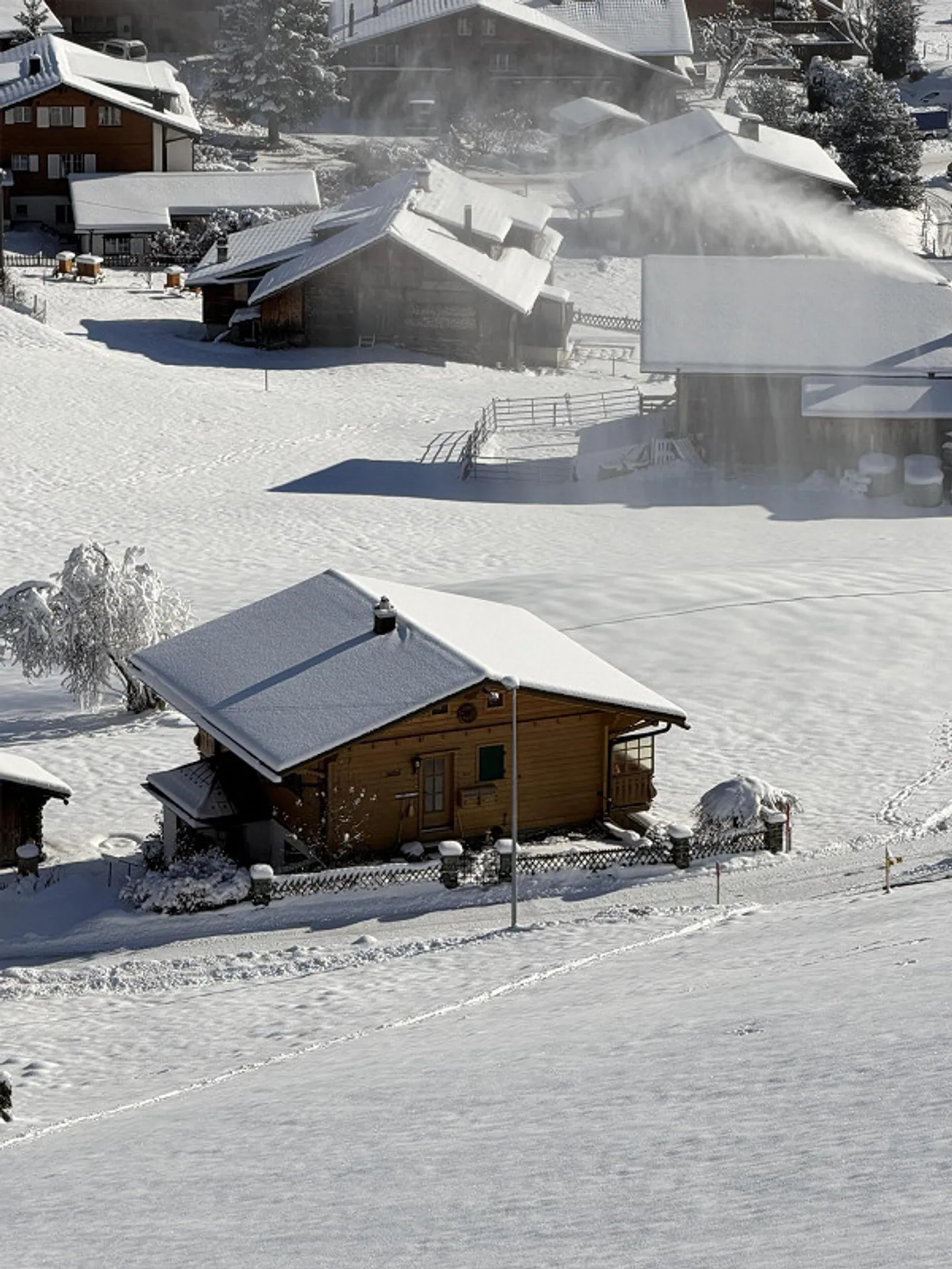Einmalig !  Idyllisches 2-Familienchalet "bim Chuenisbärgli " - Foto 4 von 28