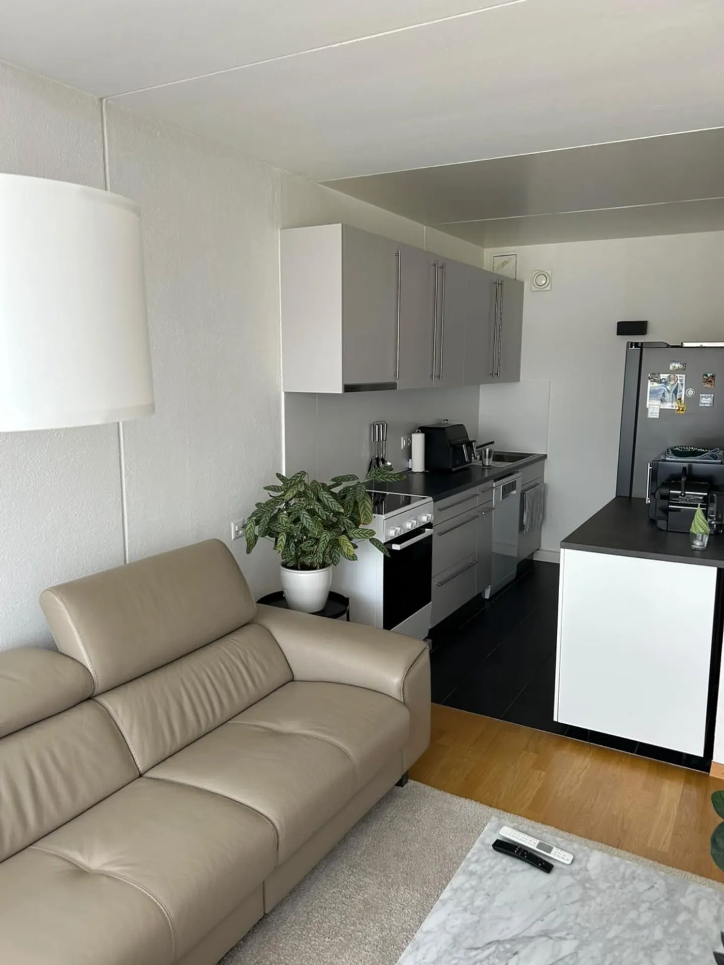 Renoviertes Apartment in Onex - Foto 3 von 5