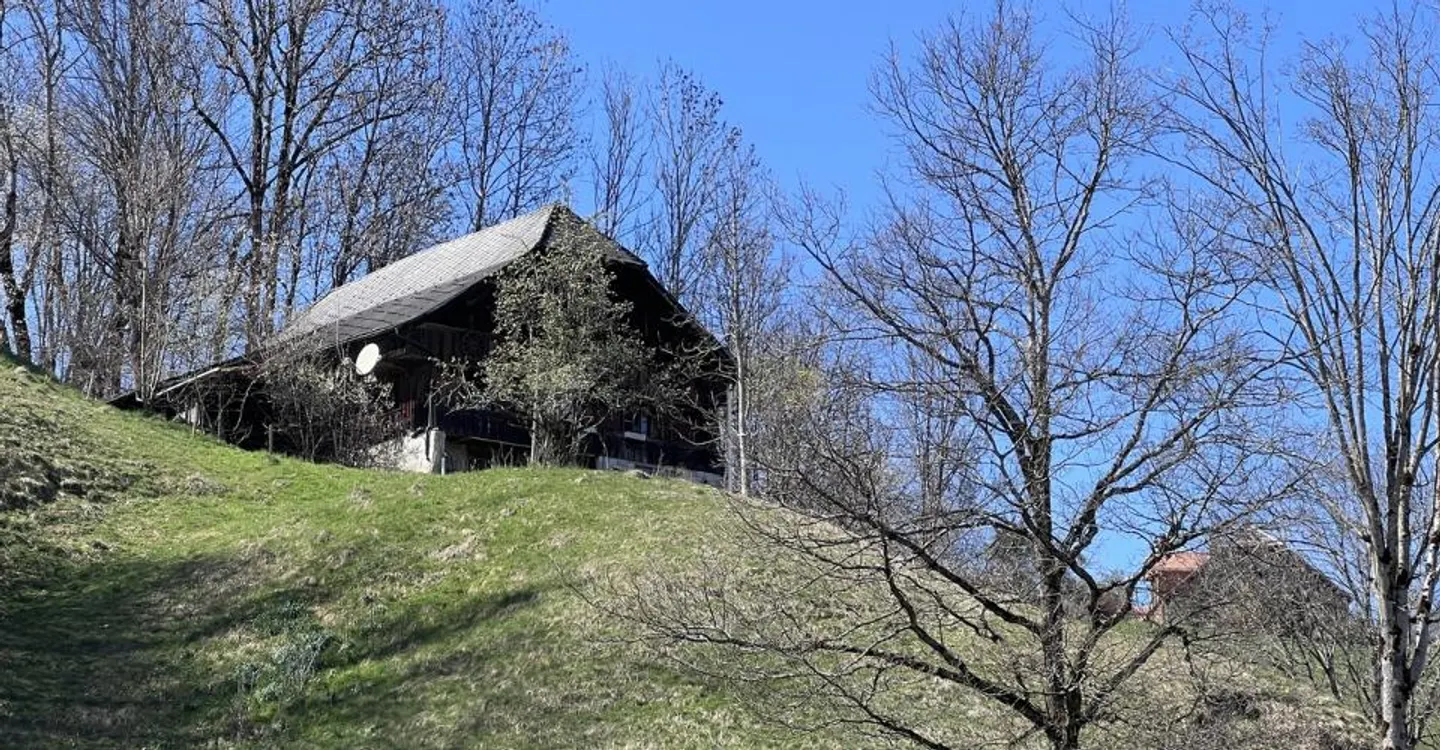 Casa unifamiliare moderna nel verde – Progetto di nuova costruzione a Rüschegg - Foto 2 di 3