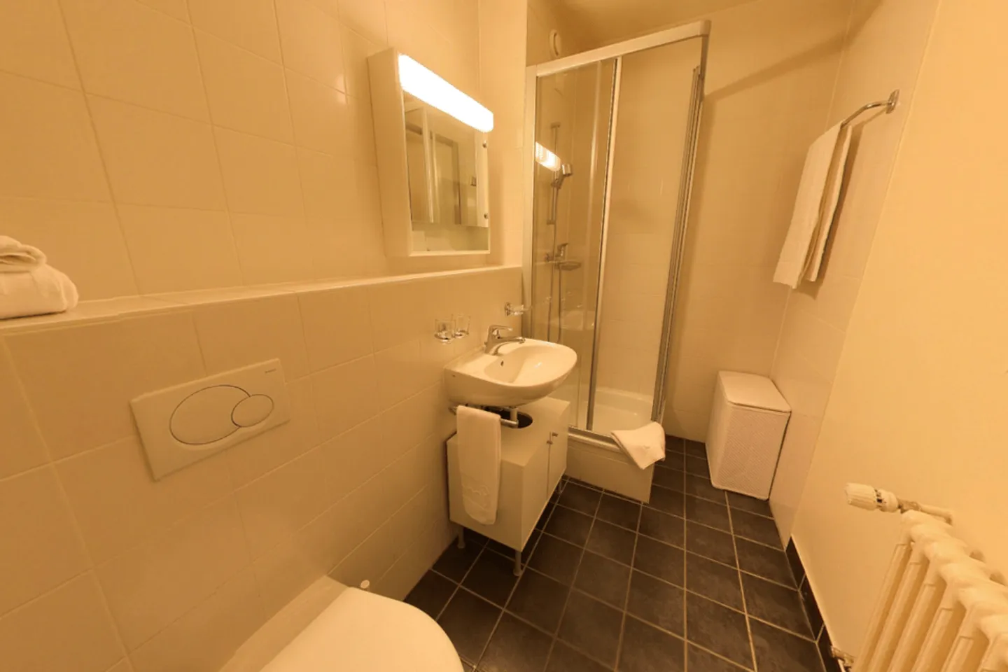 Modernes Vollmöbliertes Studio in der Nähe der Universität Genf & HUG - Plainpalais, Gen - Foto 5 von 5