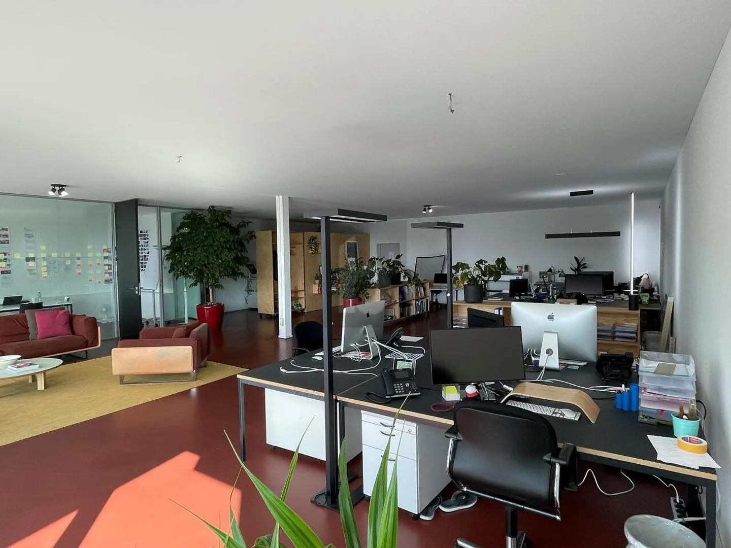 Espace commercial moderne avec terrasse sur le toit exclusive dans le quartier Binz de Zurich - Photo 5 sur 6