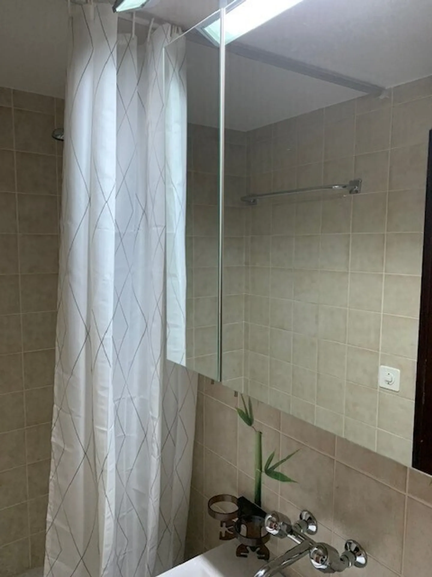 APPARTAMENTO 2½ LOCALI A GWATT (THUN), ARREDATO, TEMPORANEO - Foto 11 di 14