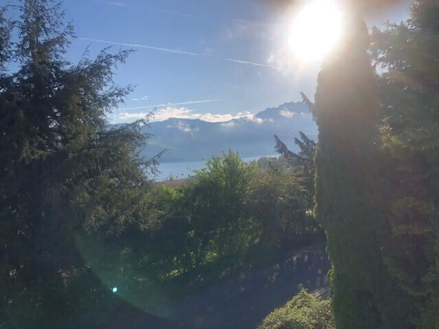 APPARTAMENTO 2½ LOCALI A GWATT (THUN), ARREDATO, TEMPORANEO - Foto 13 di 14