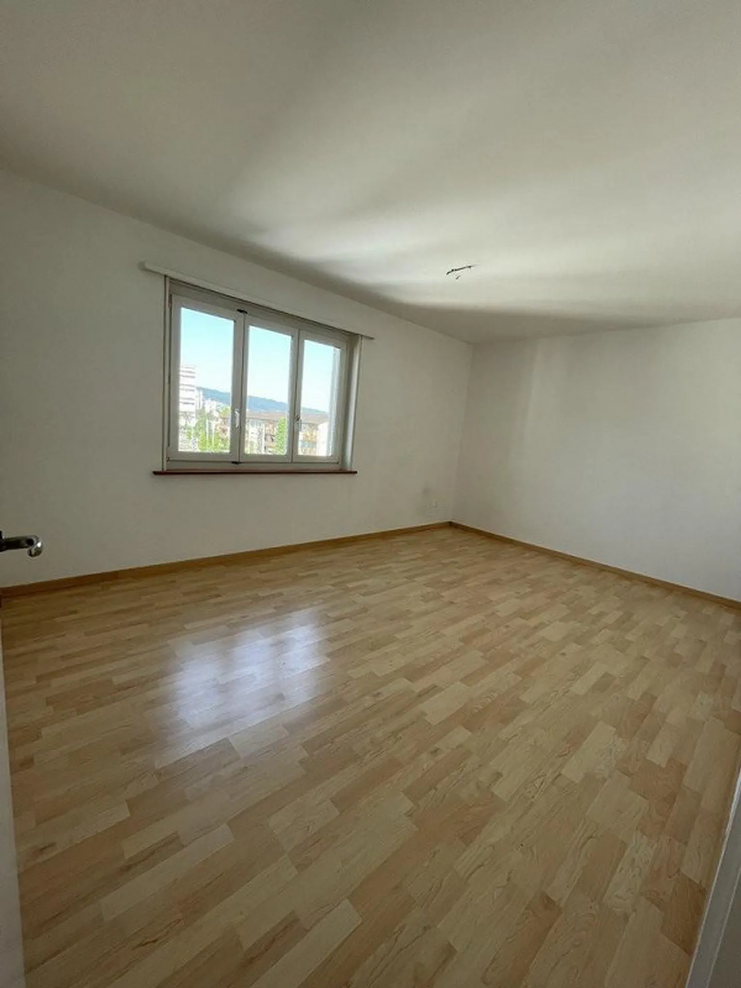 Central à Schlieren - Photo 7 sur 8