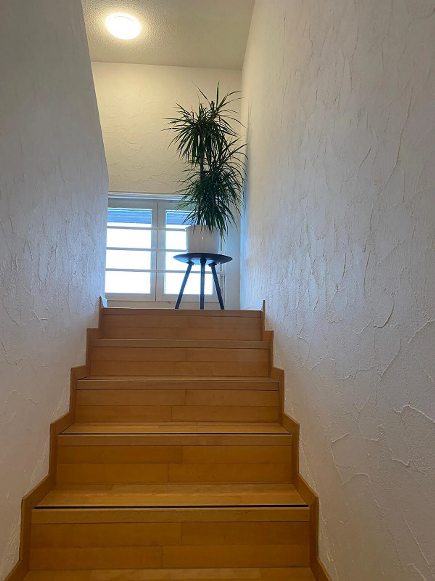 Appartamento Attico/Penthouse "In cima con vista sulle montagne e ascensore" - Foto 12 di 22