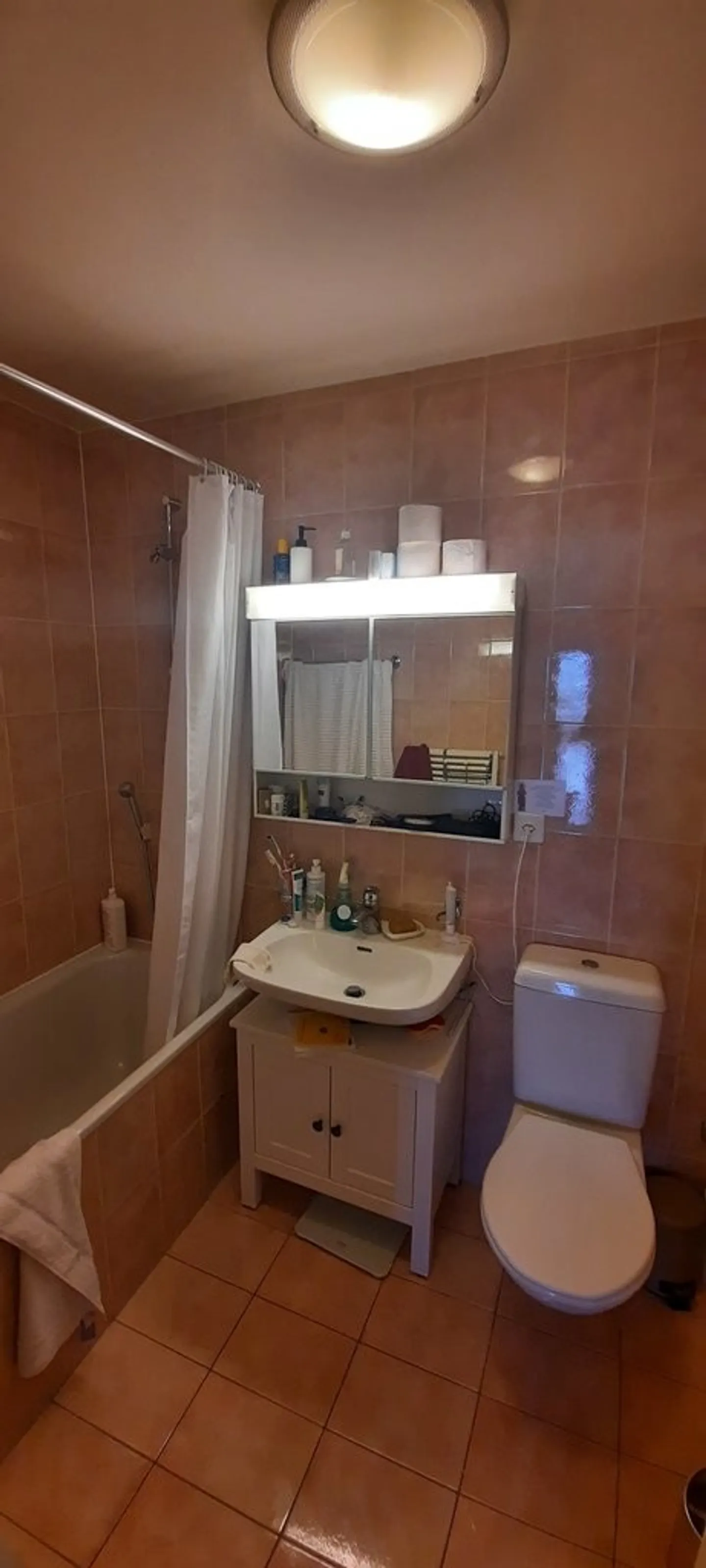 Spacious Apartment with Rhône View - Photo 7 of 10