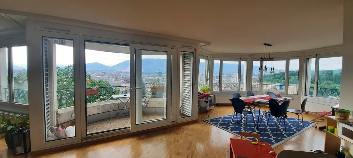Spacious Apartment with Rhône View - Photo 4 of 10