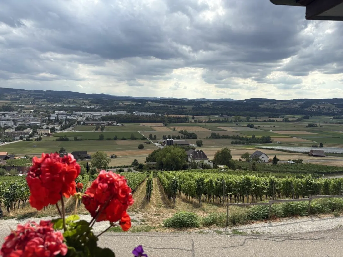 Appartement Charmant dans les Vignes - Photo 1 sur 10