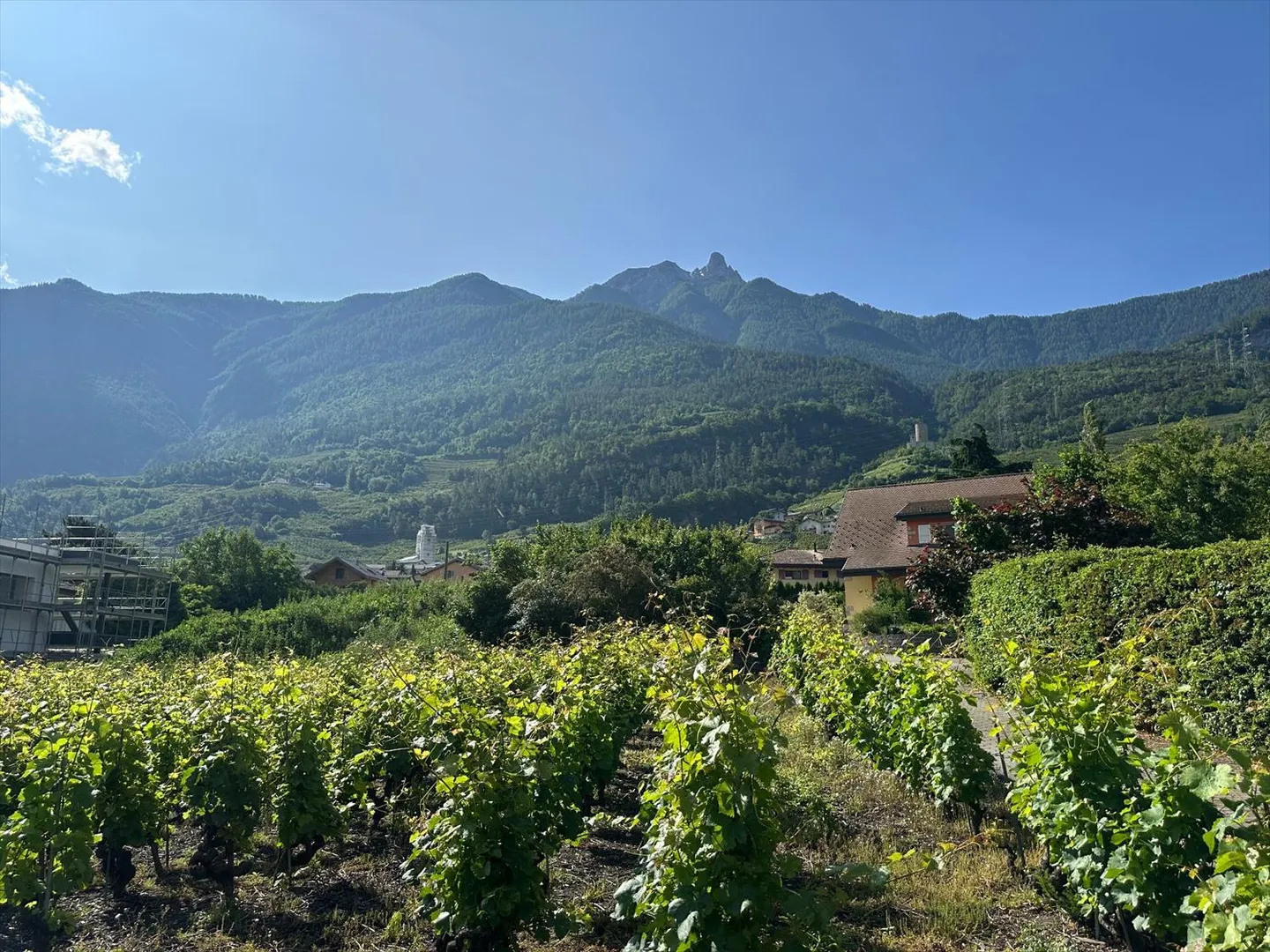 Appartamento 2.5 stanze - Foto 5 di 5