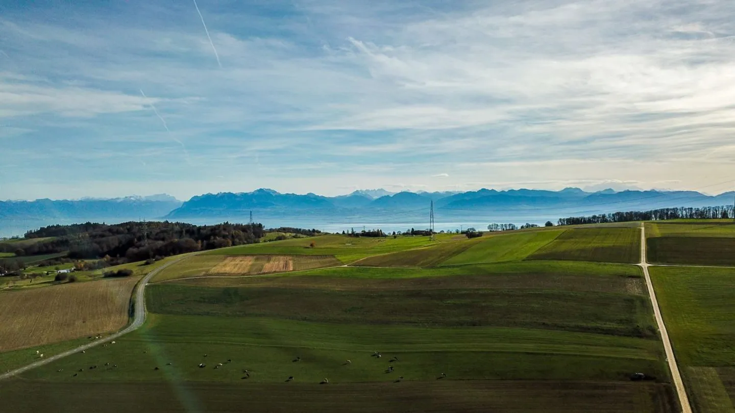 Ideal für Familien, Handwerker, Landwirte oder Investoren: 2 Häuser + Scheune - Foto 1 von 1