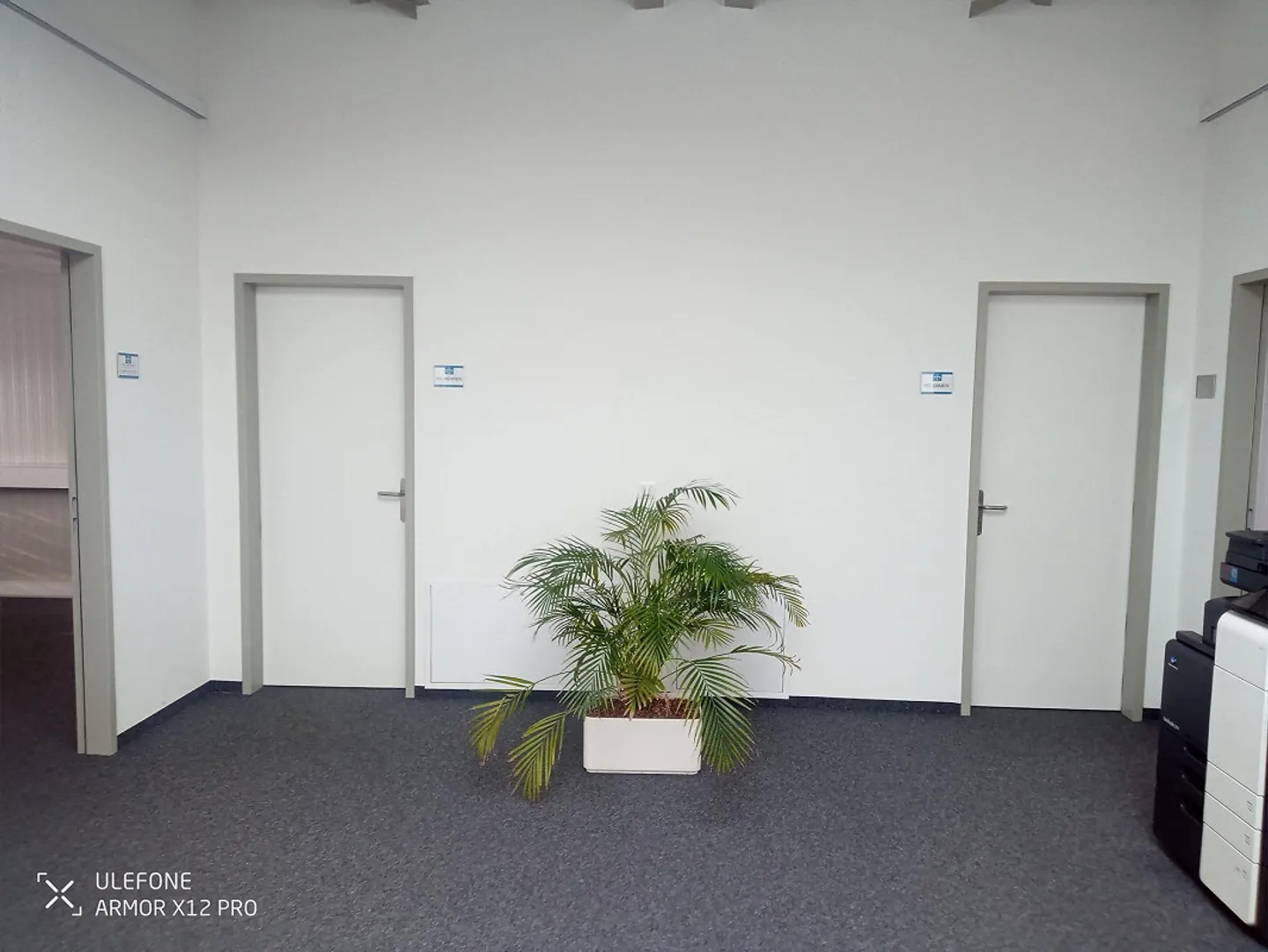 Bürofläche in St. Gallen - Foto 6 von 7