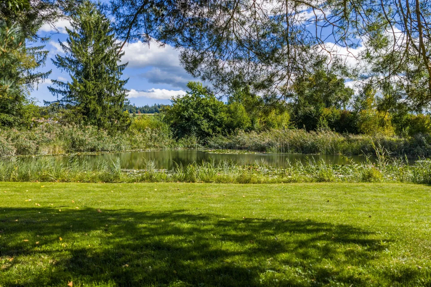 Between Zug and Zurich: Villa for free spirits and life artists on 10,000 m² - Photo 9 of 19