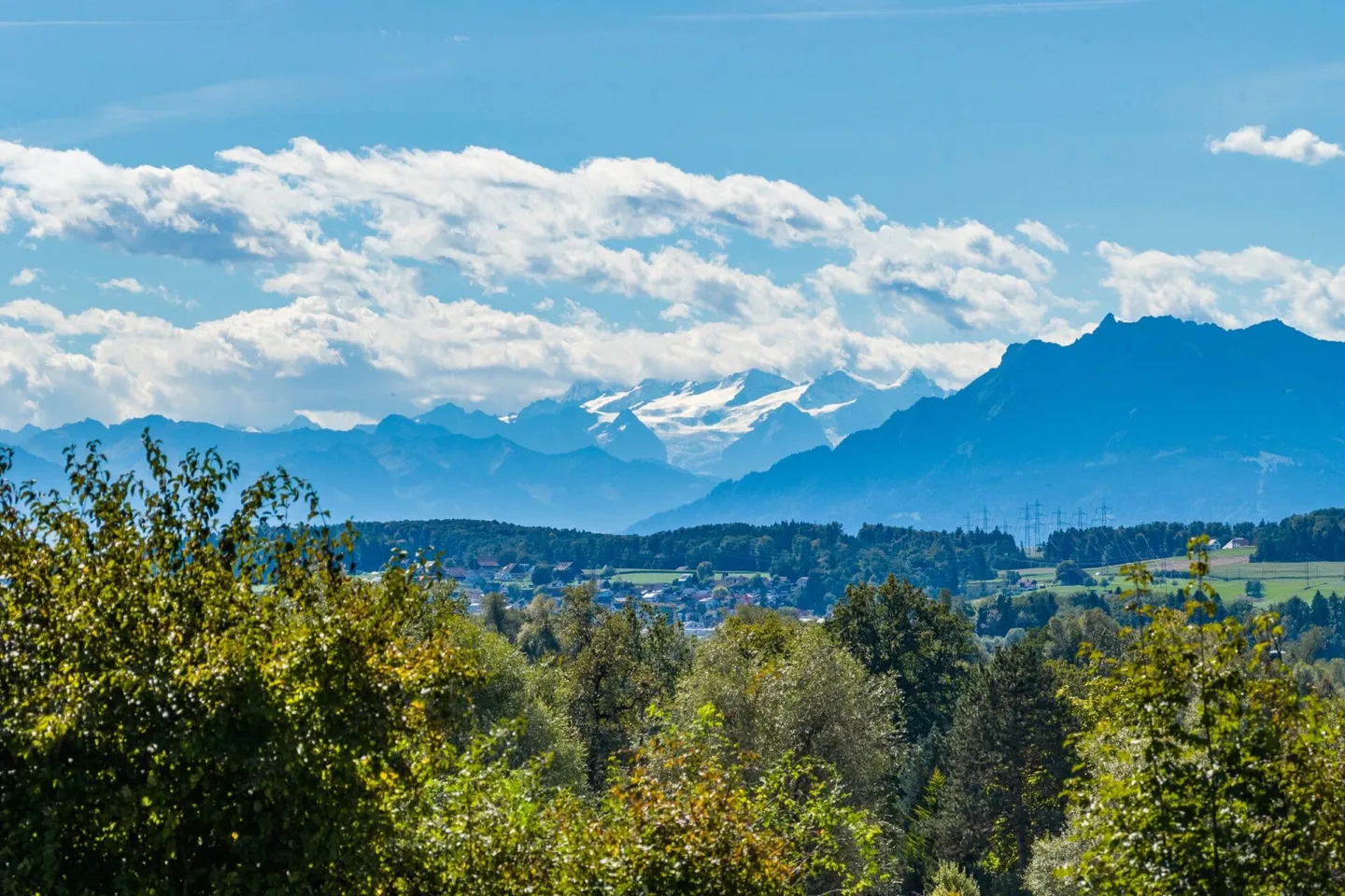 Between Zug and Zurich: Villa for free spirits and life artists on 10,000 m² - Photo 17 of 19