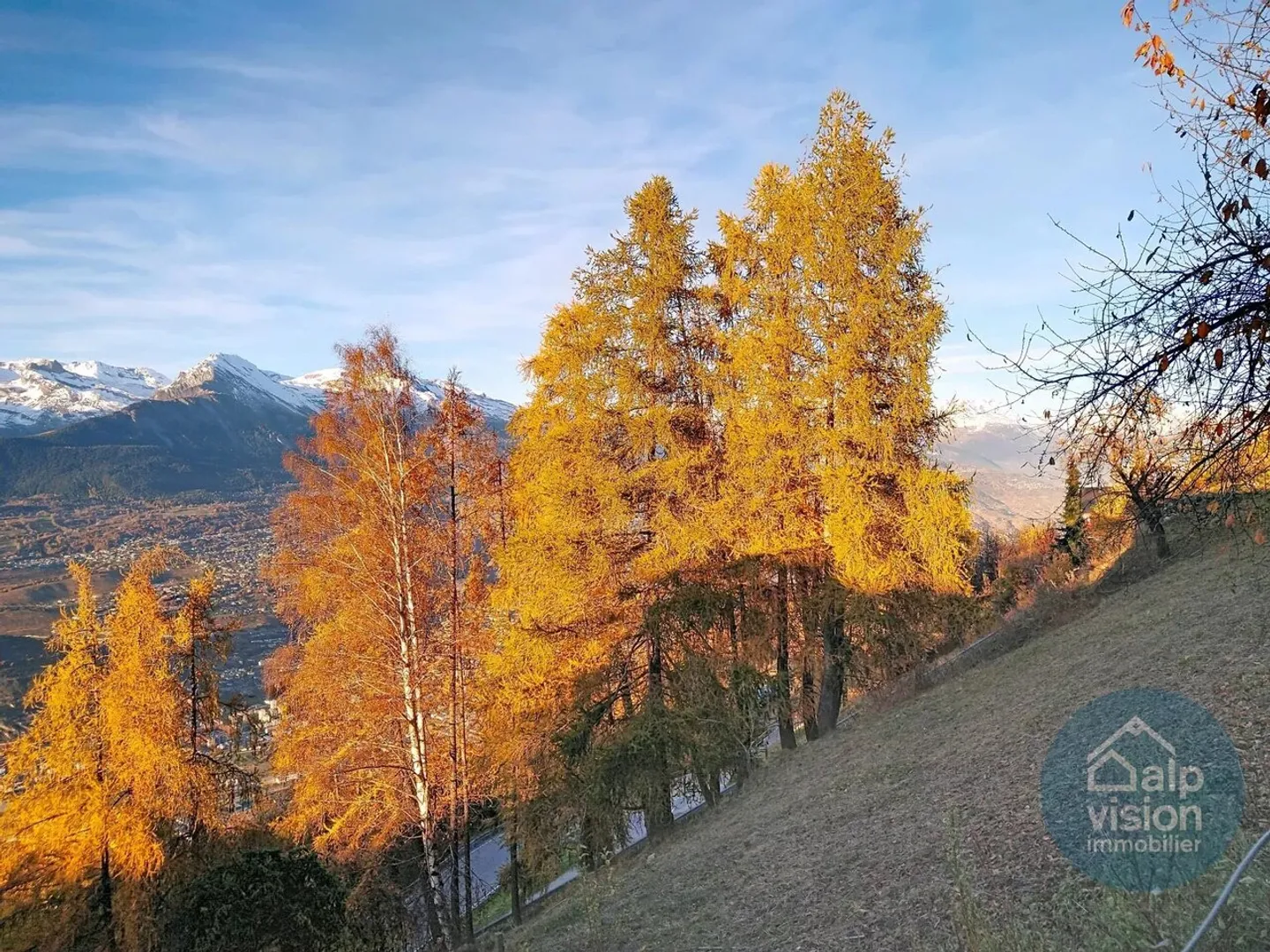 Charming 4.5 Room Apartment Renovated - Photo 13 of 13