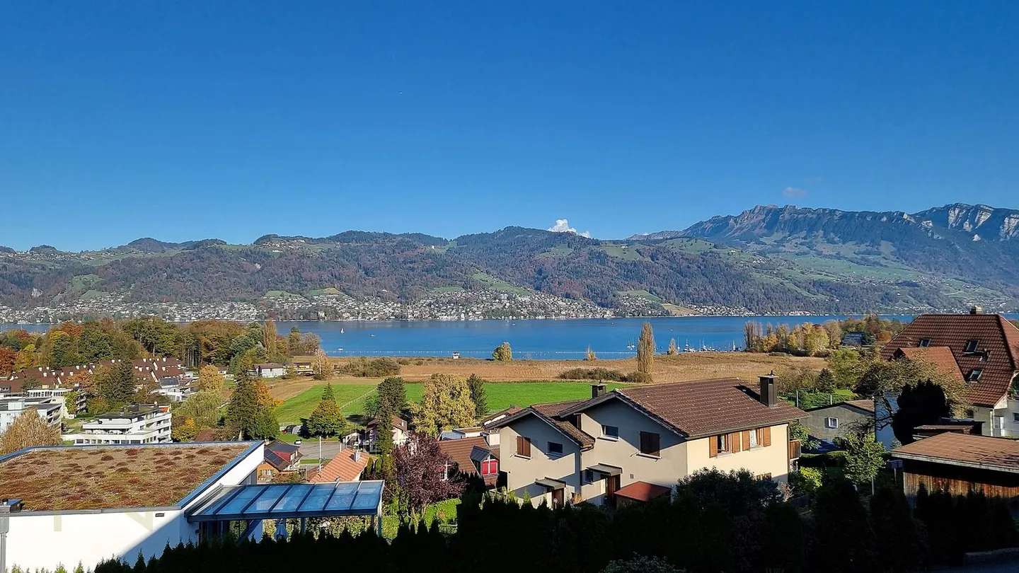 Votre place au premier rang au bord du lac de Thoune : Une vue qui enchante ! - Photo 1 sur 13
