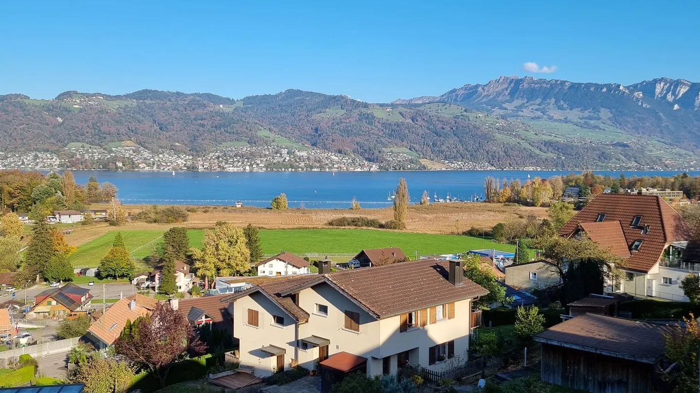 Votre place au premier rang au bord du lac de Thoune : Une vue qui enchante ! - Photo 13 sur 13