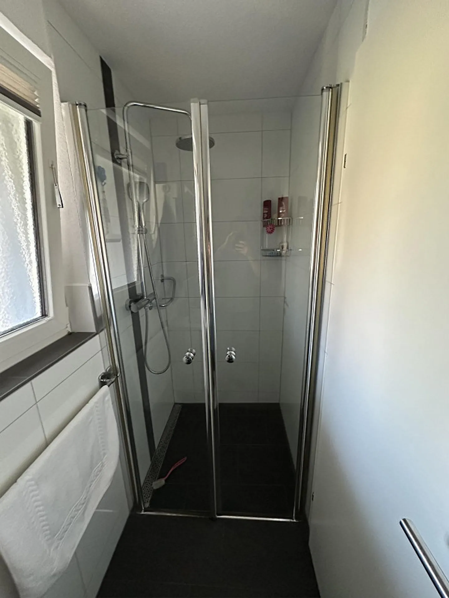 Spacious 5.5-room single-family house with garden & large terrace - Photo 5 of 24