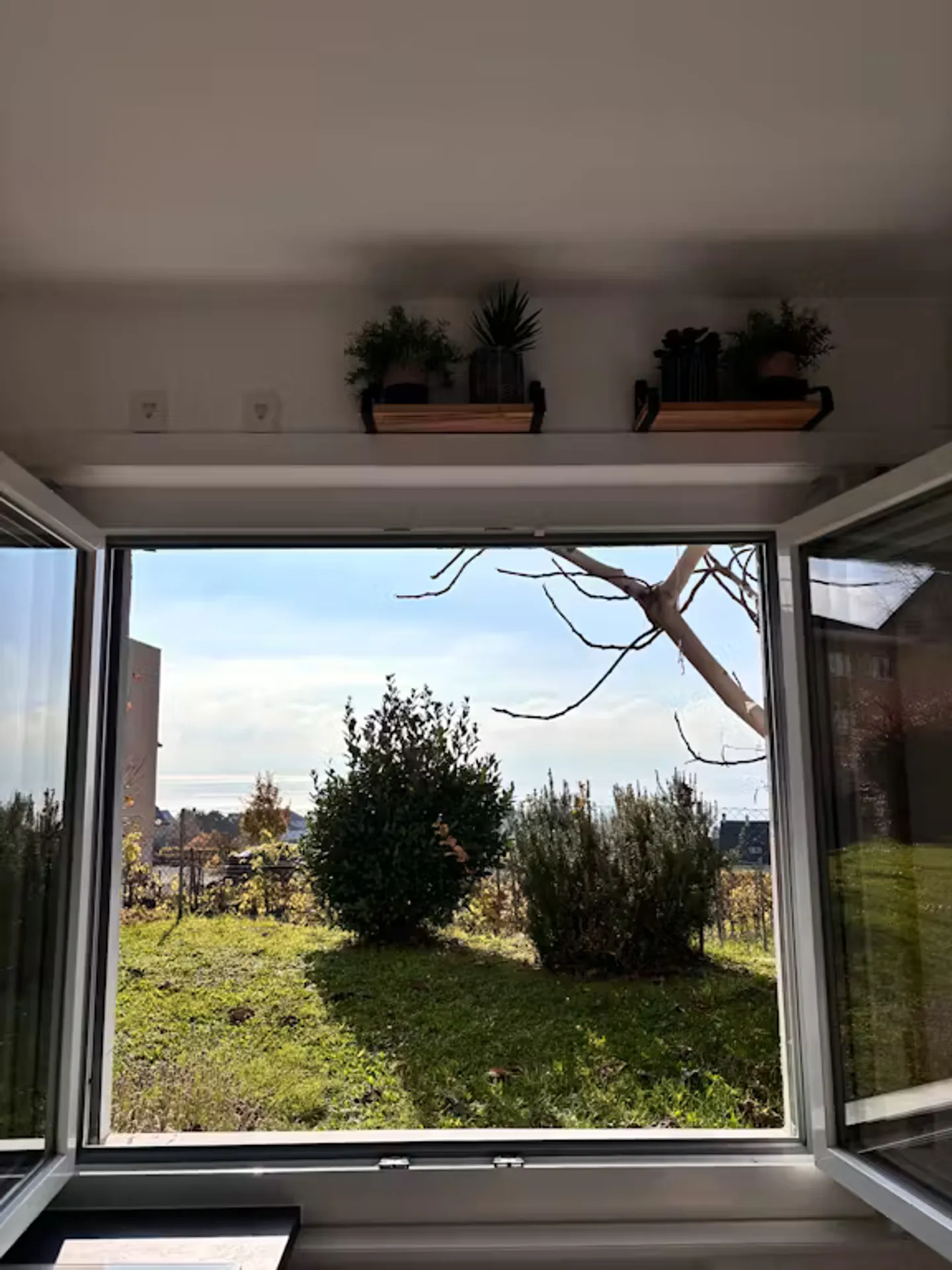 Single house for rent - Photo 3 of 10