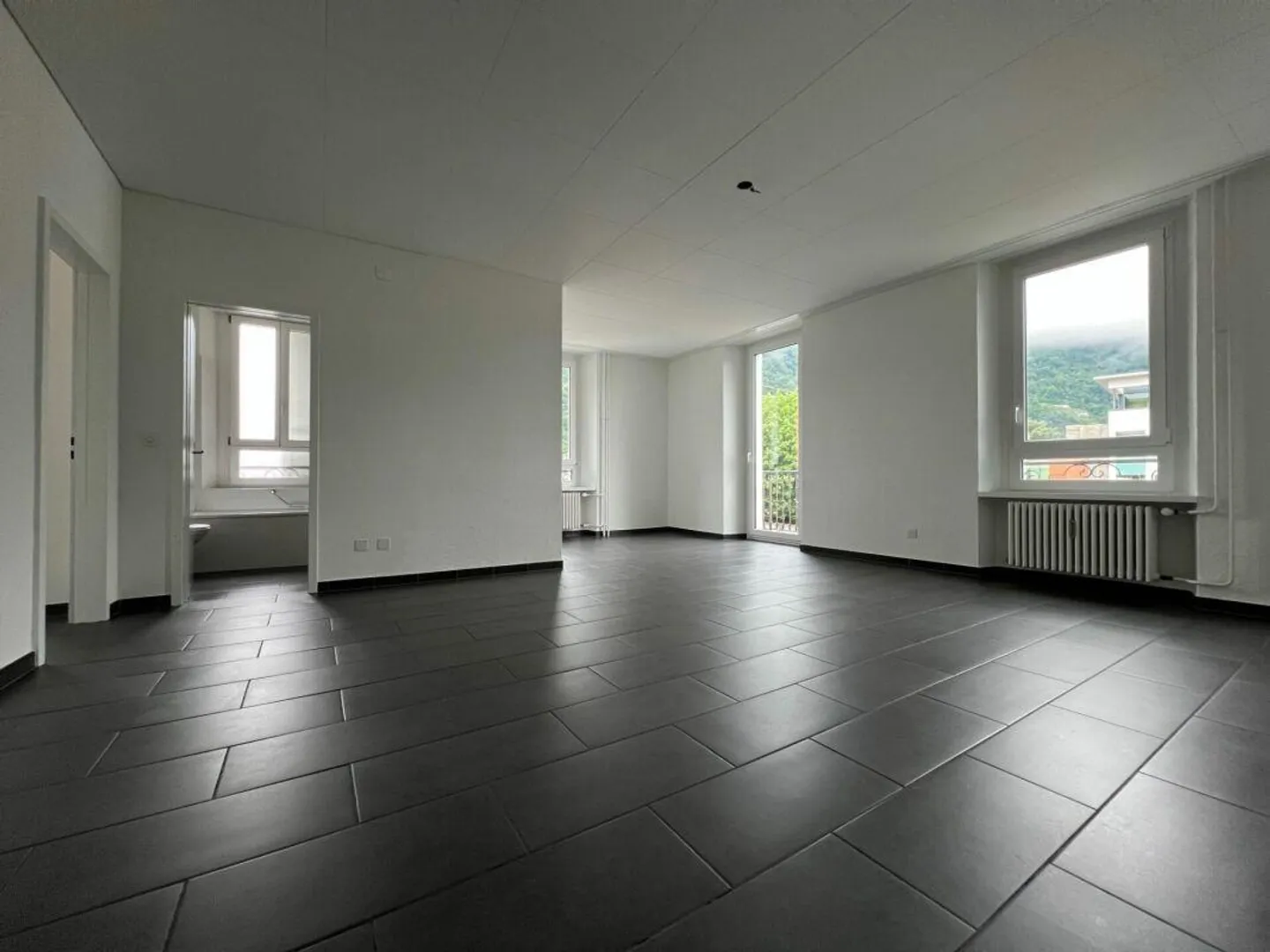 GRANDE APPARTAMENTO DI 4.5 LOCALI - Foto 3 di 6