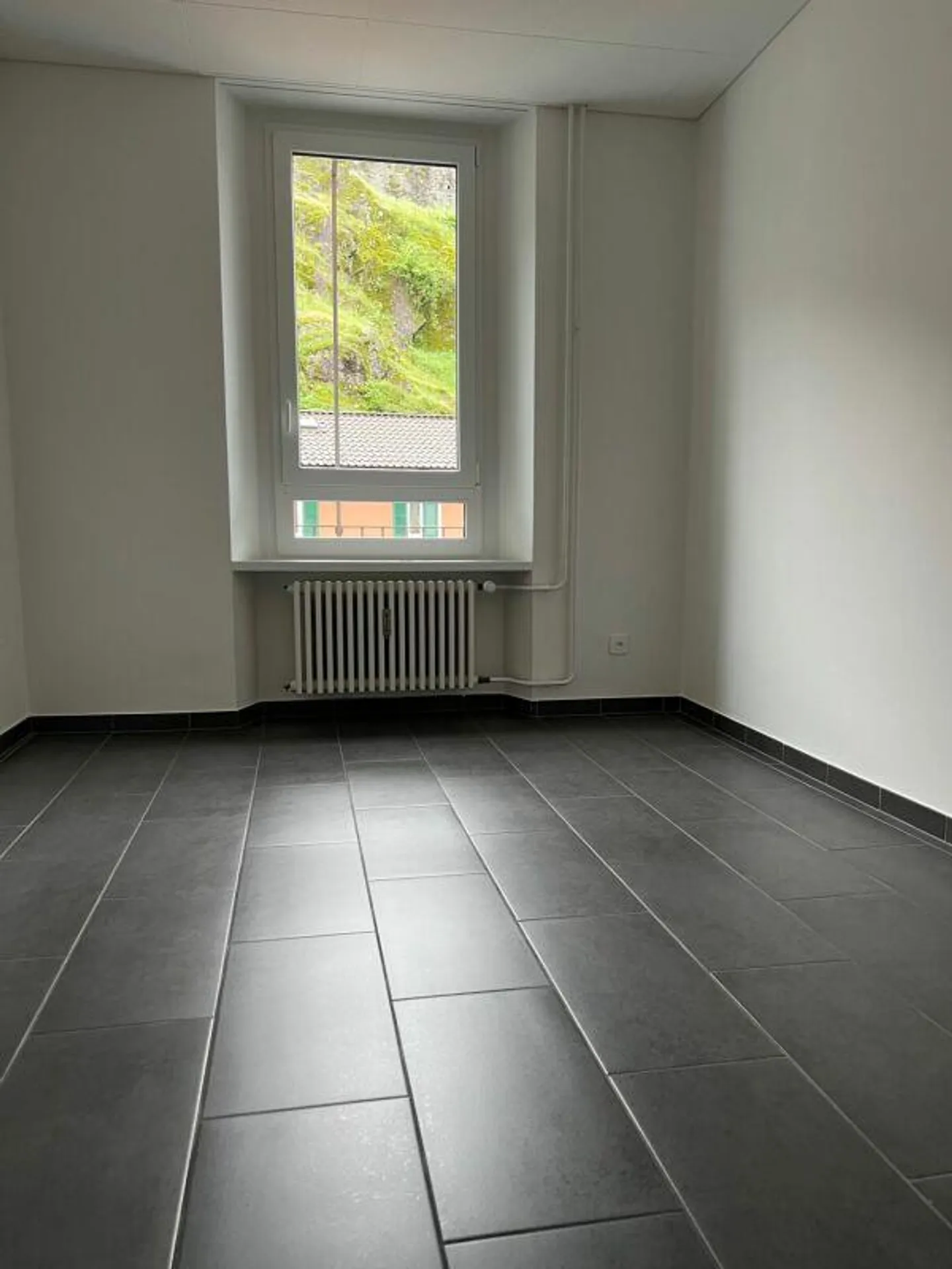 GRANDE APPARTAMENTO DI 4.5 LOCALI - Foto 4 di 6