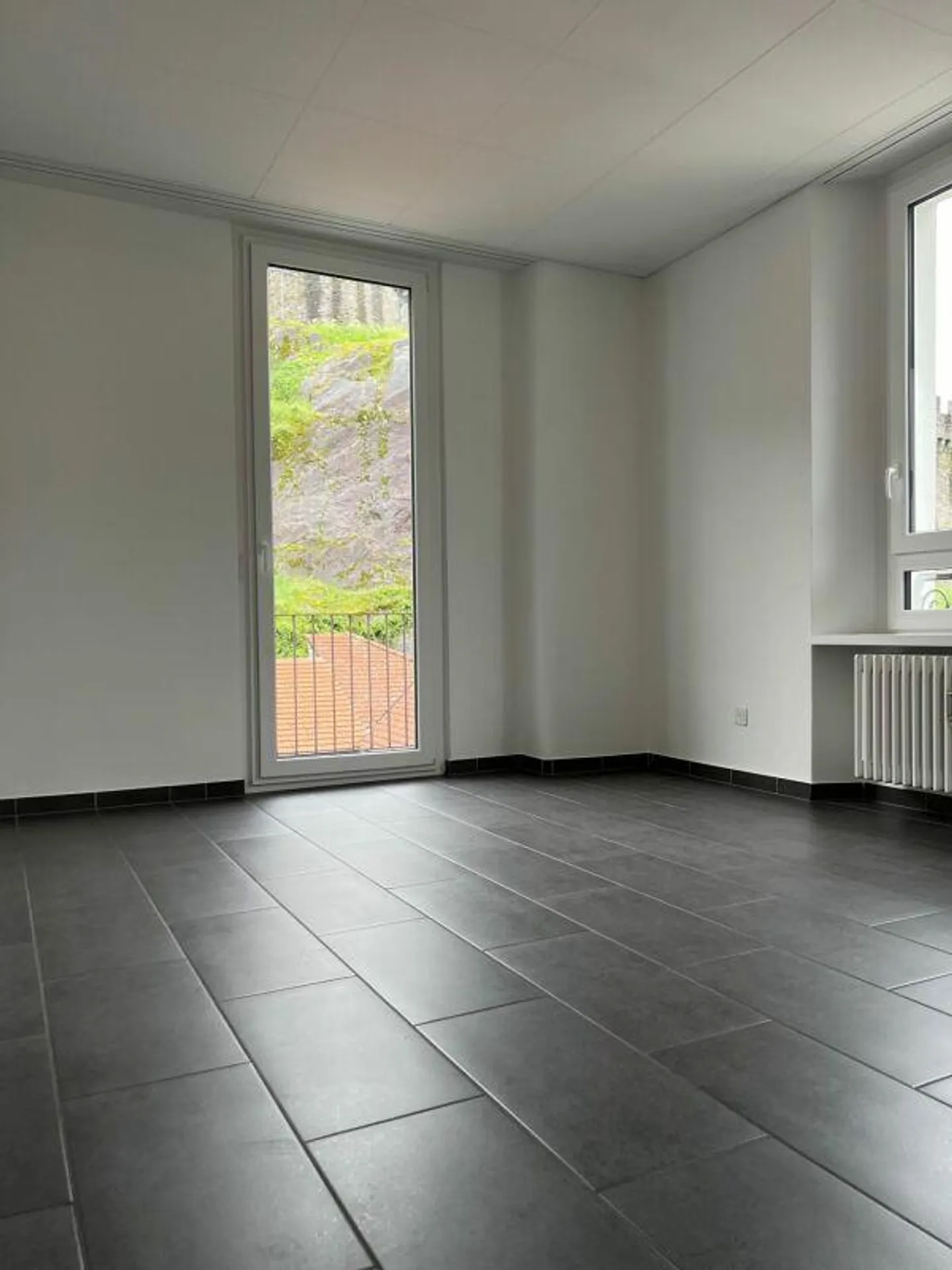 GRANDE APPARTAMENTO DI 4.5 LOCALI - Foto 5 di 6