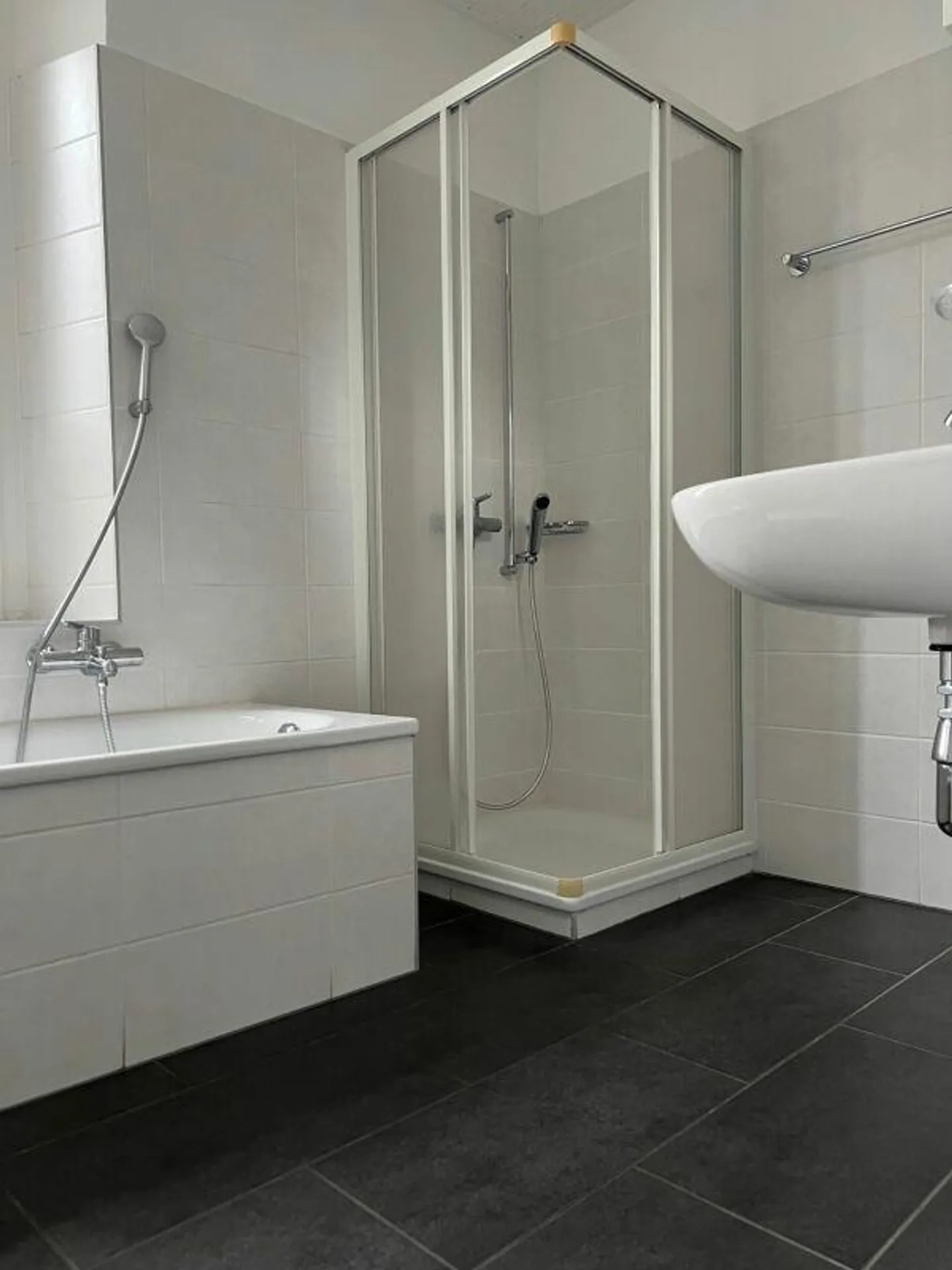 GRANDE APPARTAMENTO DI 4.5 LOCALI - Foto 6 di 6