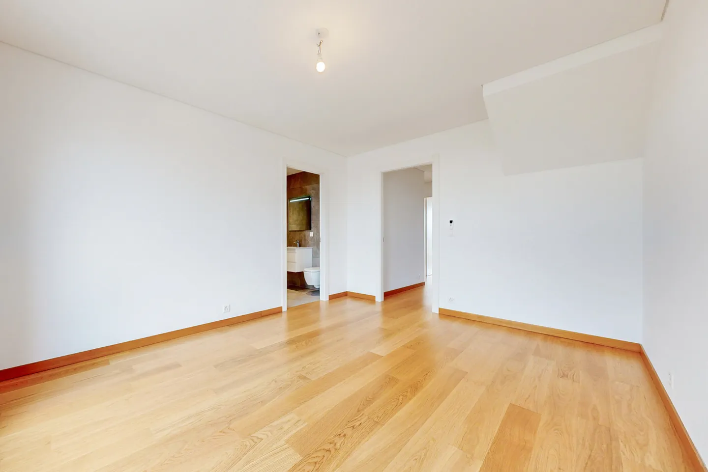 Living in a Maisonette Apartment in the Heart of Servette! - Photo 6 of 7