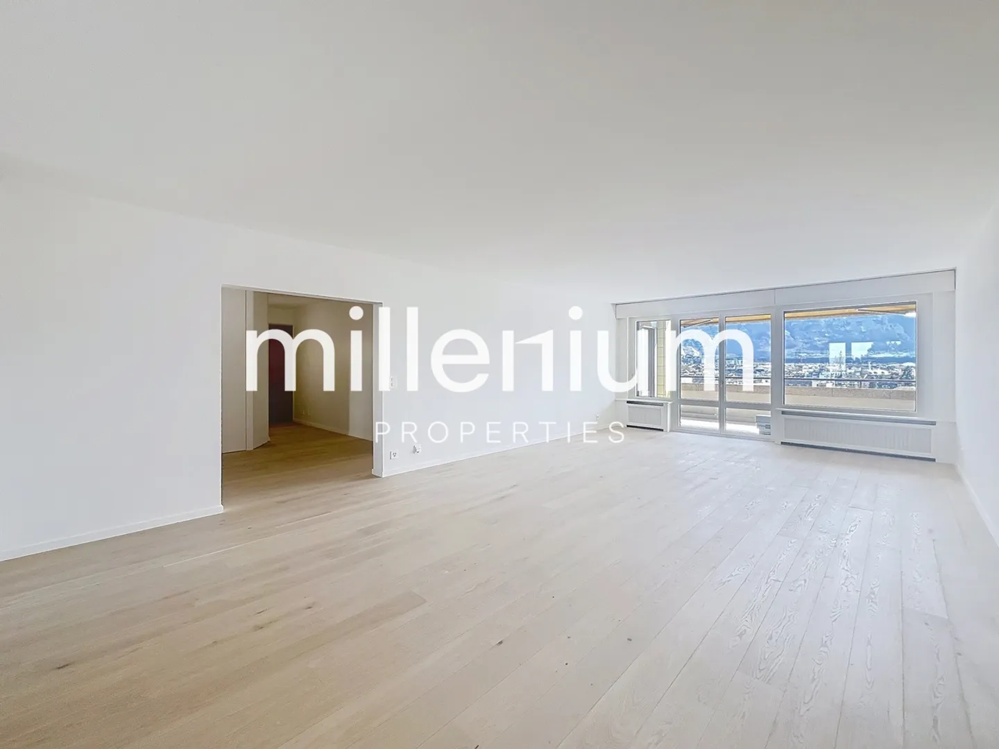 Außergewöhnliche Wohnung renoviert am Quai du Seujet - Foto 6 von 19