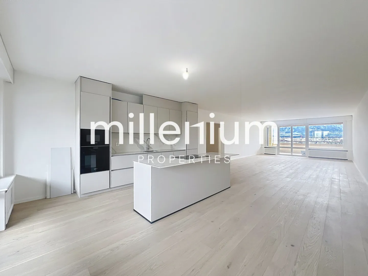 Außergewöhnliche Wohnung renoviert am Quai du Seujet - Foto 3 von 19