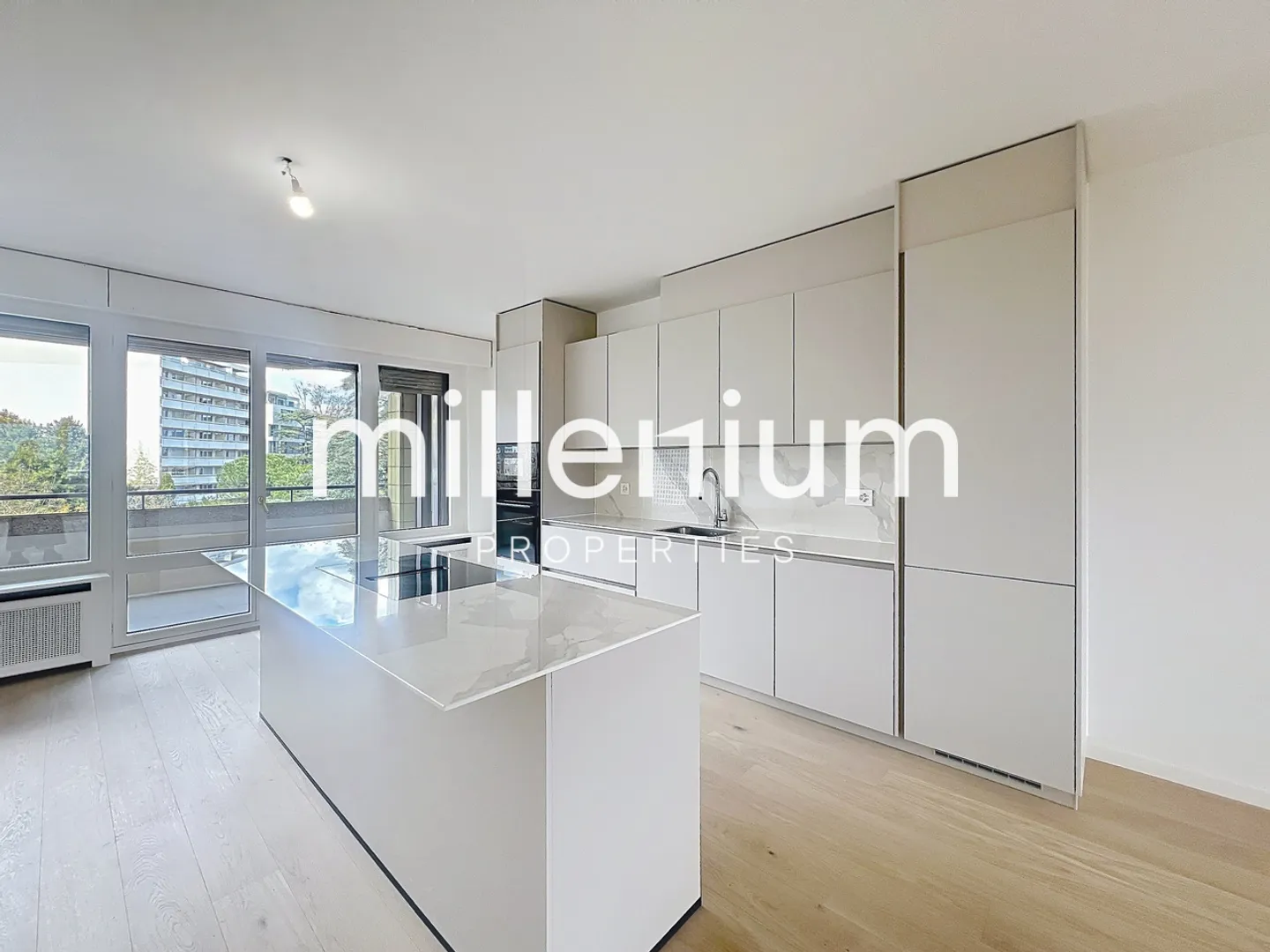 Außergewöhnliche Wohnung renoviert am Quai du Seujet - Foto 4 von 19