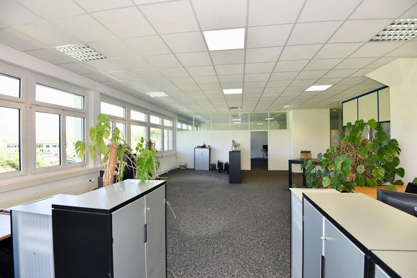 Moderne Büroräumlichkeiten in Immensee - Foto 2 von 10
