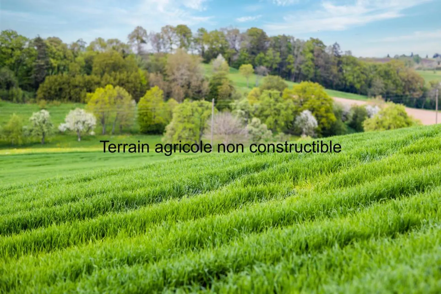 Immobile in vendita - Foto 1 di 1