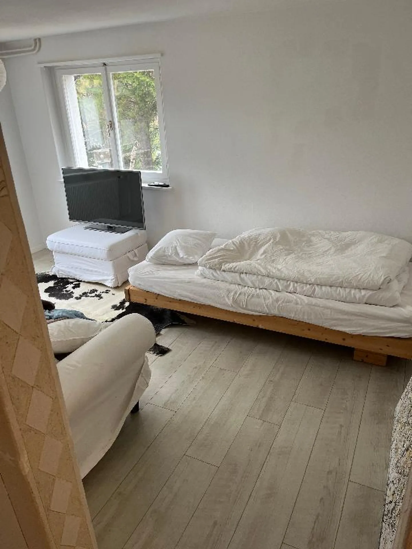 2 Room Furnished Living Object - Photo 4 of 5