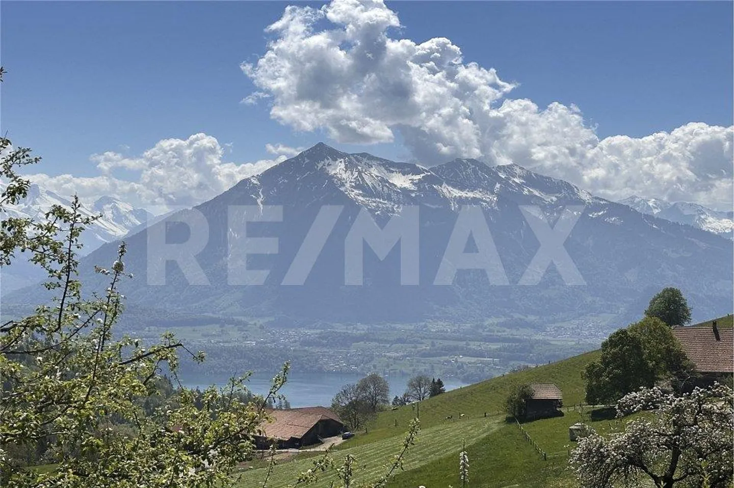 4-family house in a quiet, sunny location with a wide view - investment property - Photo 2 of 13