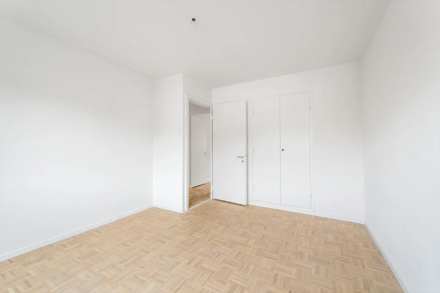 Freshly renovated - Central - Modern - Your new home? - Photo 7 of 13