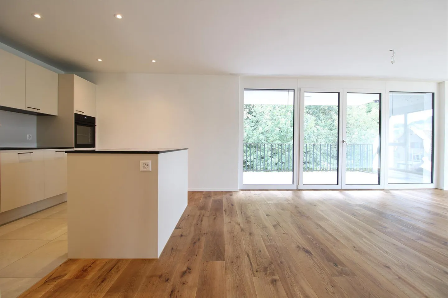 4.5 Room New Apartment Tanneggerpark - Photo 1 of 15