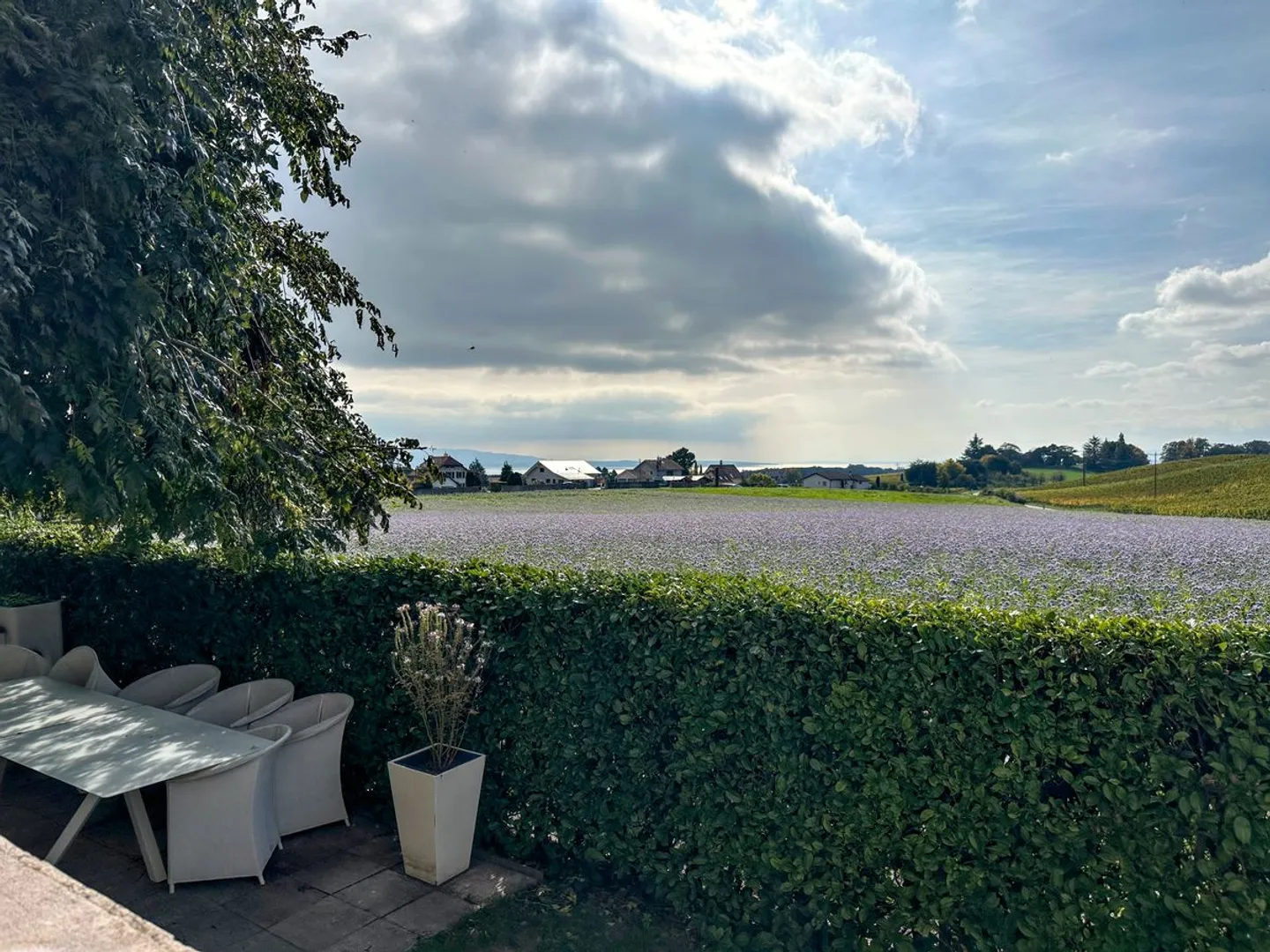 Magnifique maison individuelle au centre d'Etoy - Photo 5 sur 7