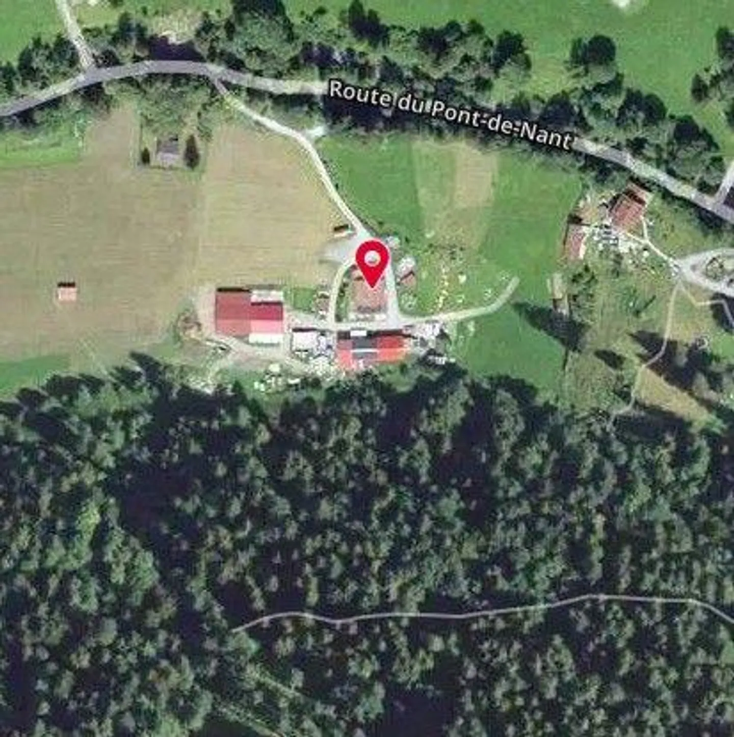 Bauernhof mit Weide und Wald - Foto 2 von 13