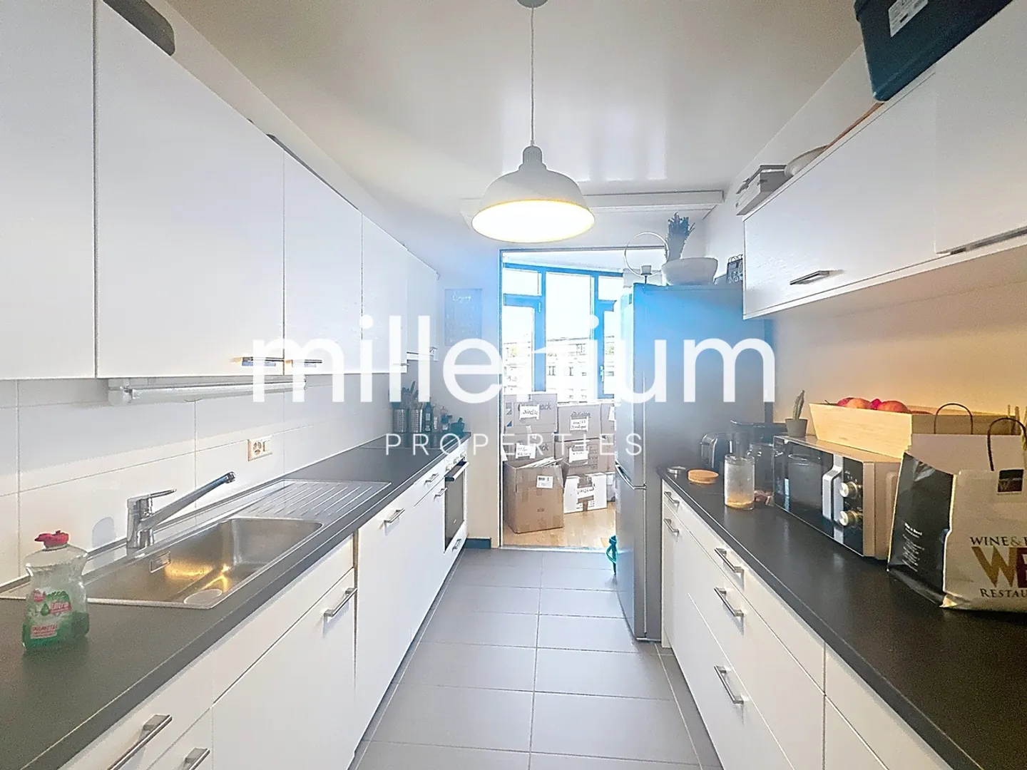 Grand appartement avec terrasse à Carouge. - Photo 5 sur 7