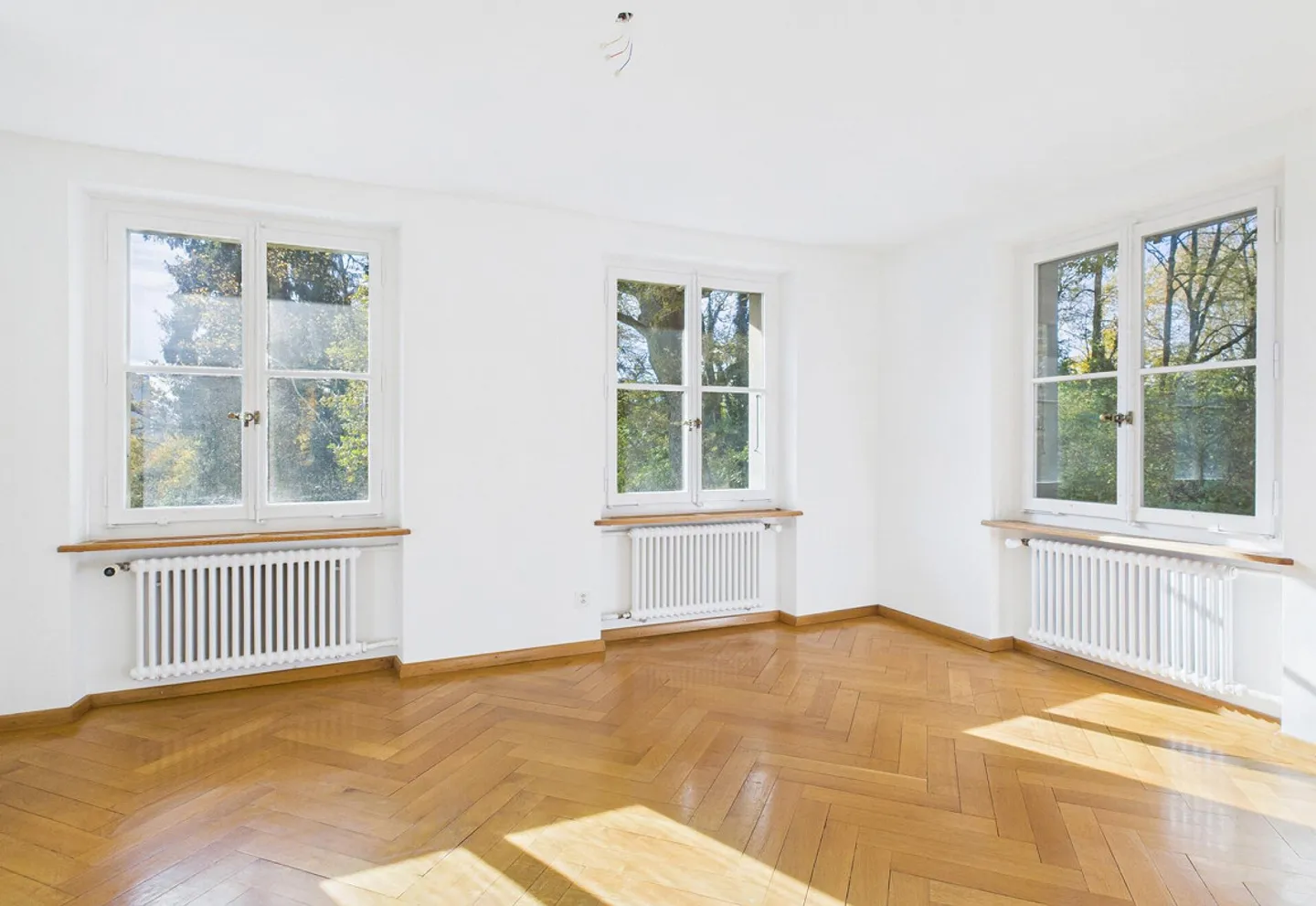 Historical City Villa in Green Surroundings - Photo 12 of 13