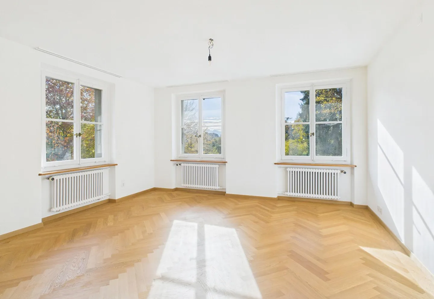 Historical City Villa in Green Surroundings - Photo 11 of 13