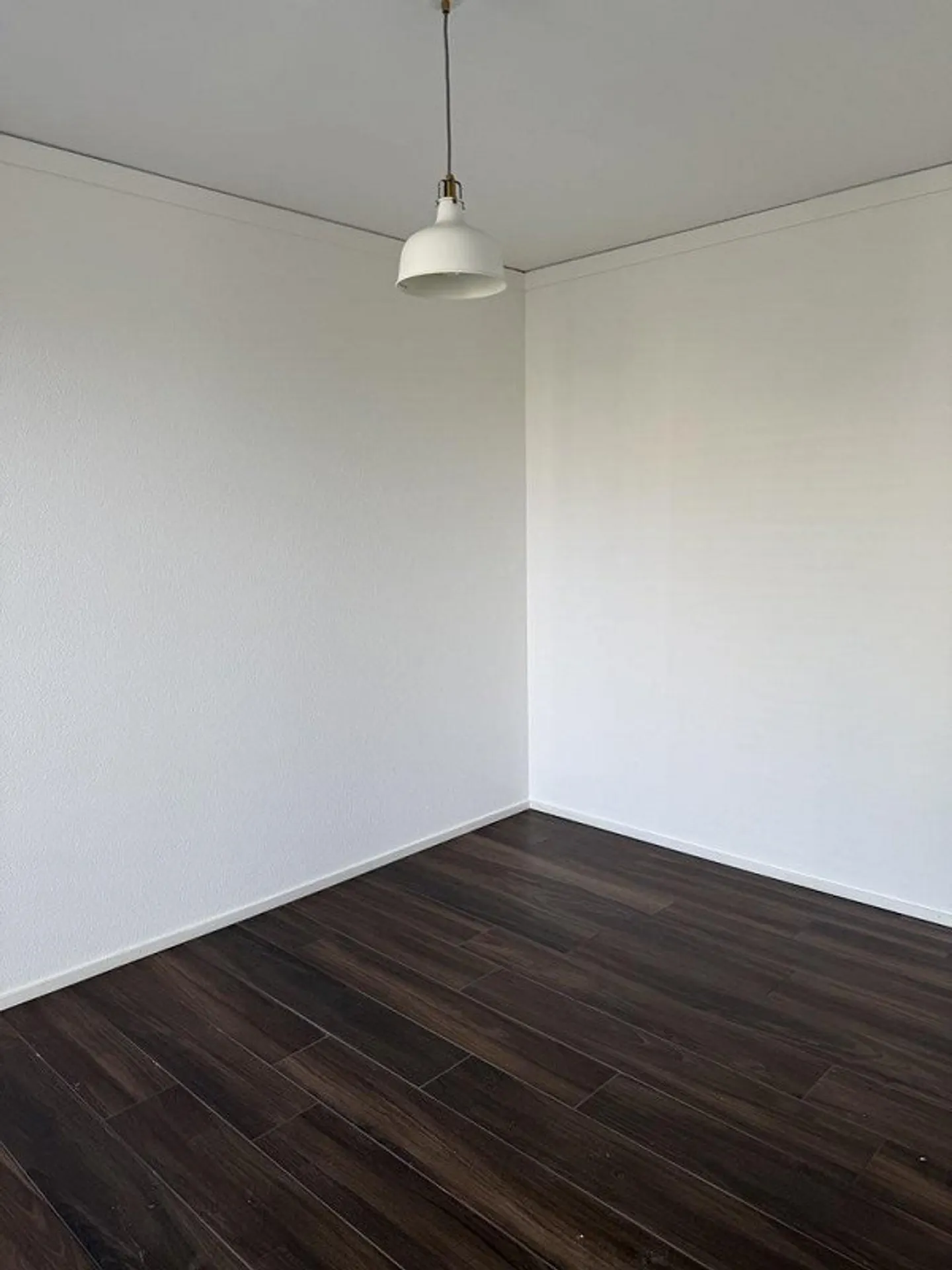 Apartment seeks singles - Photo 2 of 8