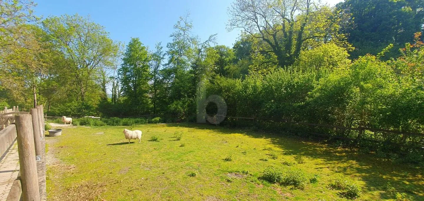IN UN GIOIELLO DELLA NATURA CON STALLI! - Foto 3 di 6